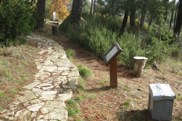 Arboreto Luis Ceballos - rincón de melíferas