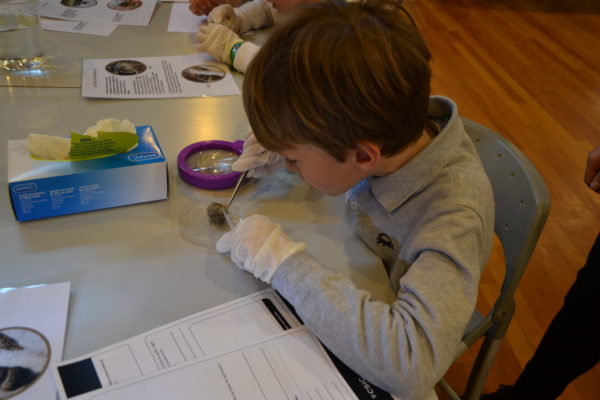 Fotos de la actividad Experimentrea que tuvo lugar el da 1 de marzo del 2019 en el aula circular. Cuenta con autorizacin fotogrfica (00/19).