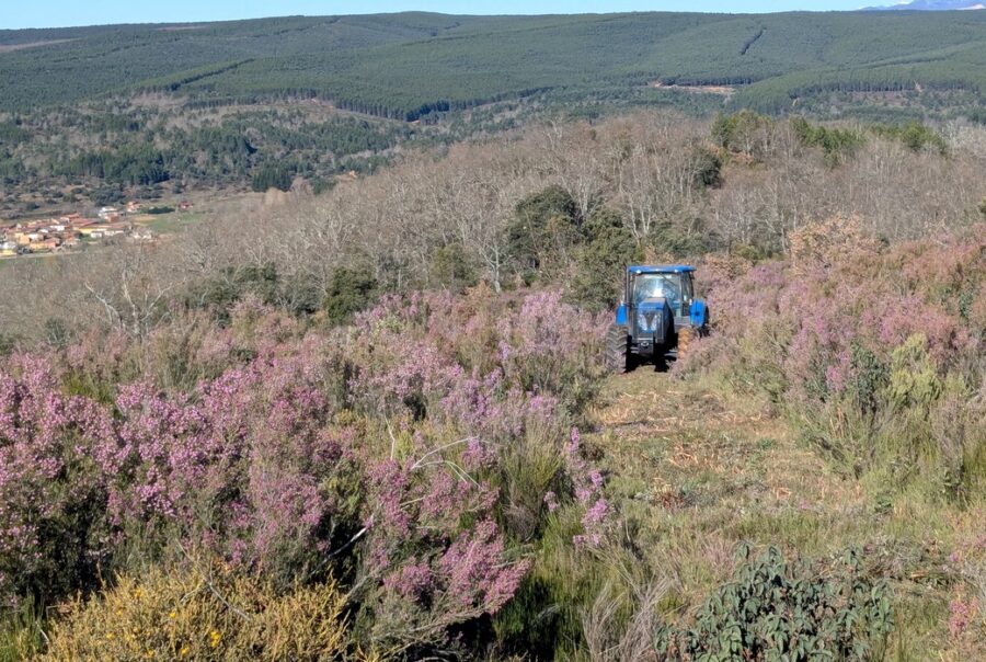 Segundo bosque sostenible de Clece y Talher en León para absorber CO2